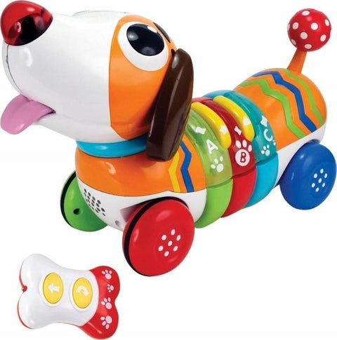 R/C Rainbow Pup--جرو قوس قزح