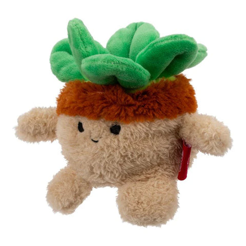 BumBumz 4.5-inch Plush - Succulent Stu Collectible Stuffed Toy - HomeBumz Series--لعبة محشوة قابلة للتجميع - سلسلة هوم بومز